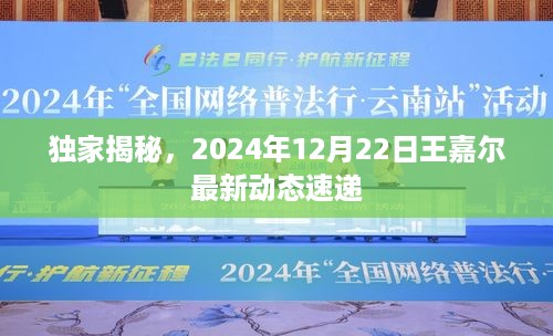 独家揭秘，王嘉尔2024年最新动态速递（附详细解读）