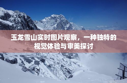 玉龙雪山实时图片观察，独特视觉体验与审美之旅