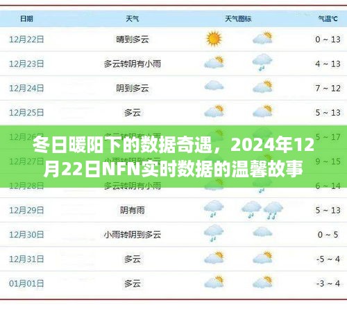 冬日暖阳下的数据奇遇，NFN实时数据的温馨故事（2024年12月22日）