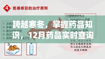 跨越寒冬，药品知识实时查询的励志之旅