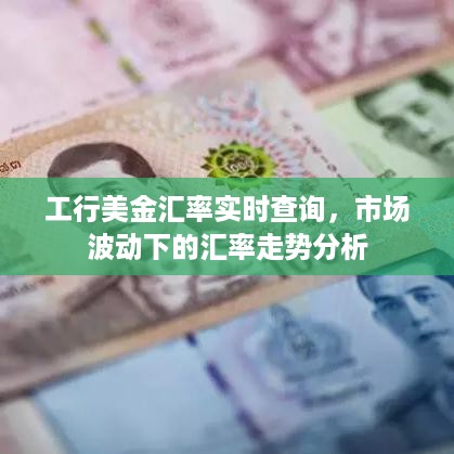 工行美金汇率实时查询，市场波动走势深度解析