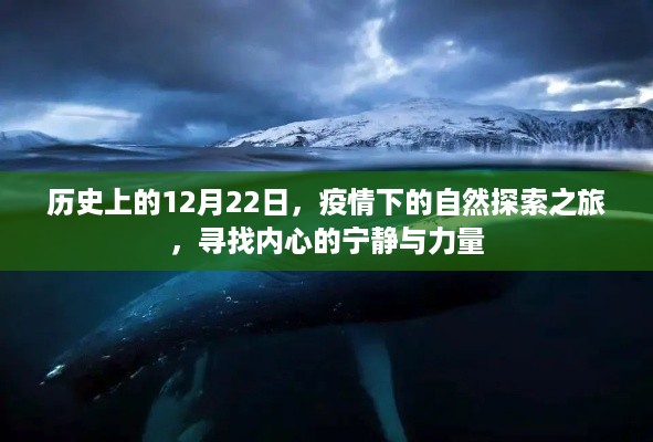 疫情下的自然探索之旅，寻找内心的宁静与力量——历史上的12月22日