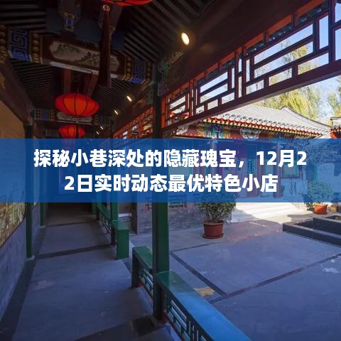 探秘小巷深处的隐藏瑰宝，实时动态特色小店精选推荐（12月22日）