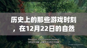 探索自然美景中的游戏历史，内心的宁静与平和在12月22日显现