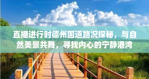 德州国道路况直播探秘，与自然美景共舞，寻觅心灵宁静之地