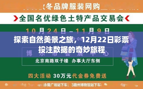 自然美景与彩票数据的双重探索，一场奇妙的旅程开启于12月22日