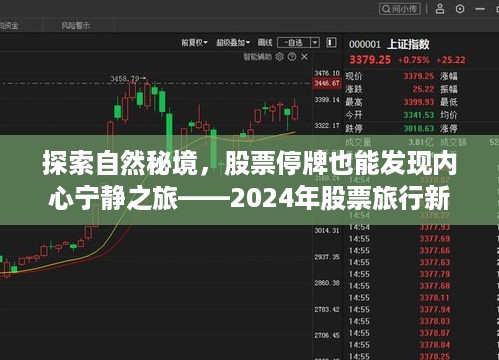 股票停牌中的自然秘境探索，心灵宁静之旅的新体验（2024年）