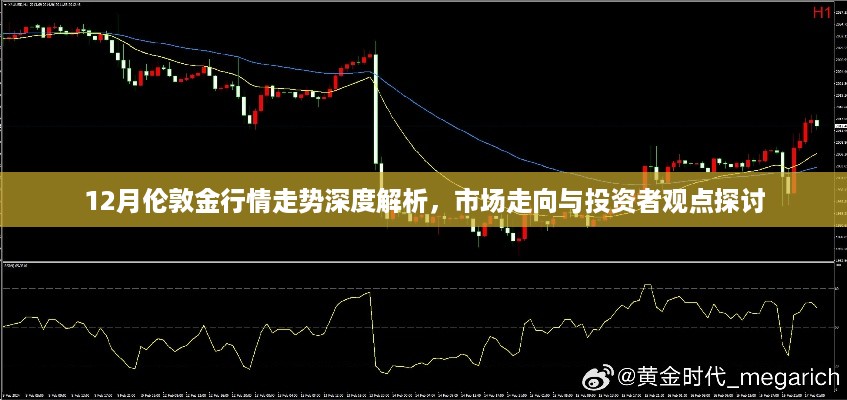 12月伦敦金行情深度解析，市场走向与投资者观点一览