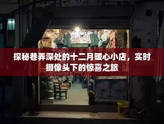 十二月巷弄深处的暖心小店，实时摄像头下的惊喜探秘之旅