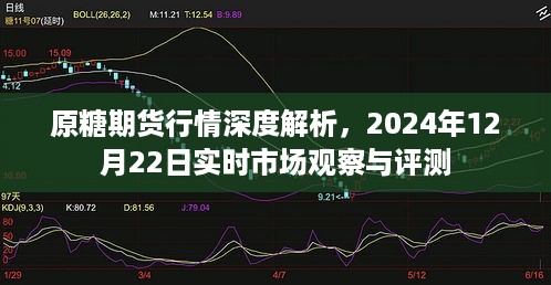 原糖期货行情深度解析，实时市场观察与评测（2024年12月22日）