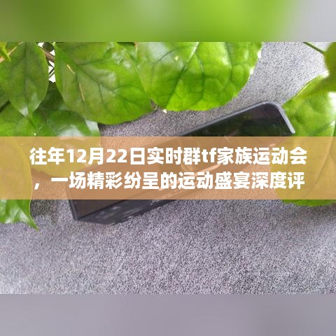 往年12月22日TF家族运动会，运动盛宴深度评测