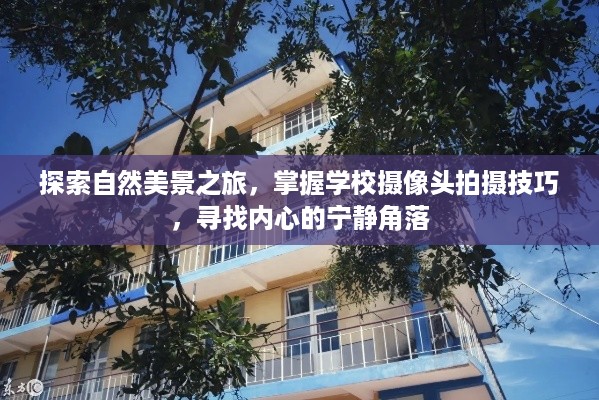 自然探索与摄影技巧，寻找内心宁静的拍摄之旅