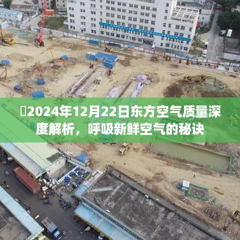 揭秘东方空气质量深度解析，呼吸新鲜空气的秘诀（2024年12月22日）