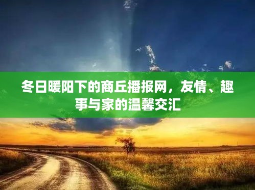 冬日暖阳下的商丘播报网，友情、趣事与家的温馨交汇时刻