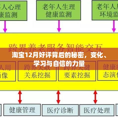 淘宝12月好评背后的力量，变化、学习与自信铸就成功之路