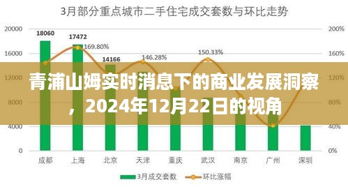 青浦山姆商业发展洞察，实时消息下的未来展望（至2024年12月22日）