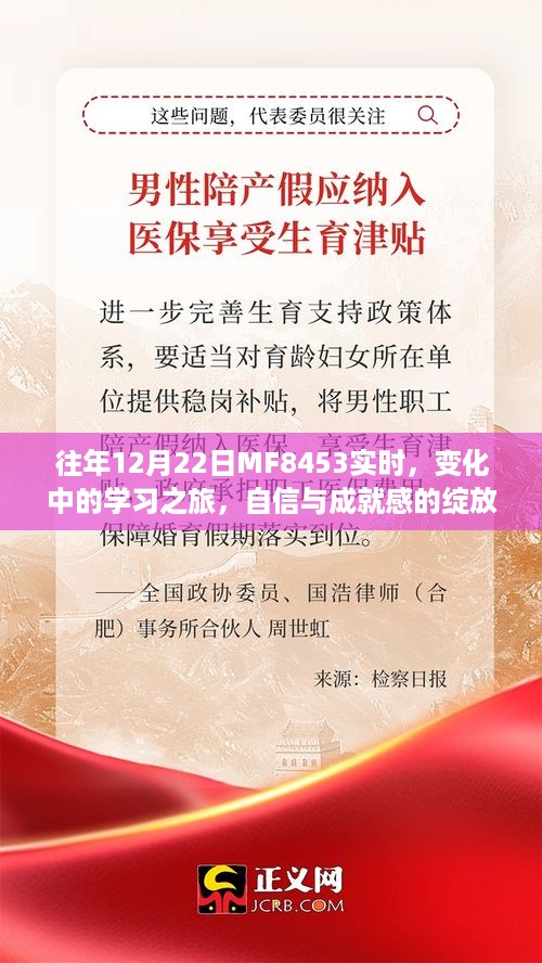 往年12月22日MF8453实时，学习之旅中的自信与成就绽放之路