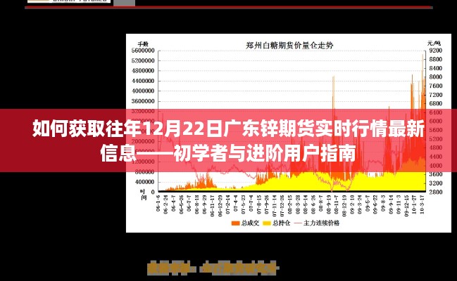 如何获取往年12月22日广东锌期货实时行情信息——初学者与进阶用户指南教程