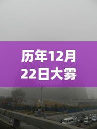 大雾笼罩的神秘世界，历年12月22日实时图像图片分享纪实