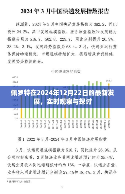 2024年12月26日 第15页