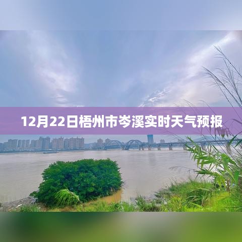 梧州市岑溪实时天气预报（12月22日）