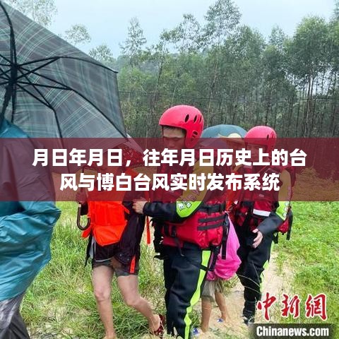 博白台风实时发布系统与历史台风回顾