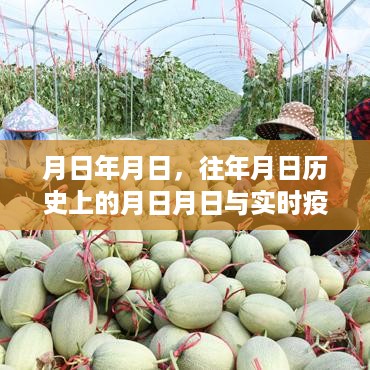 历史疫情时刻与最新疫情动态回顾分析