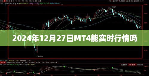 关于MT4实时行情的探讨，能否在2024年12月27日实时更新？