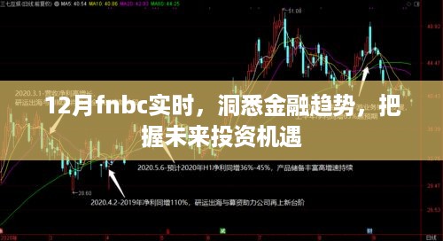 洞悉金融趋势，把握投资机遇，12月FNBC实时解析