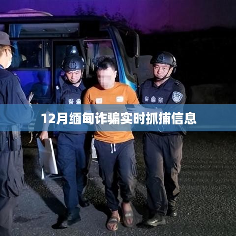 缅甸诈骗实时抓捕信息曝光，警惕诈骗行为