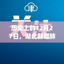 湖北新增肺炎实时动态，历史视角下的12月27日观察