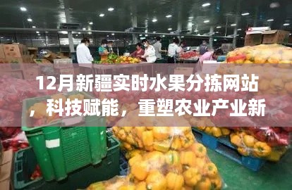 科技赋能新疆水果分拣重塑农业产业新貌