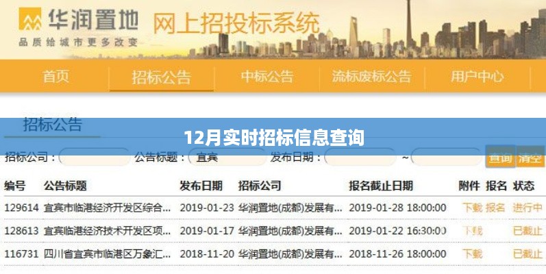 最新十二月招标信息查询，实时更新