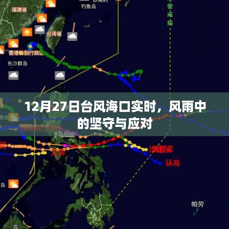 台风影响下的海口坚守与应对，风雨中的实时记录