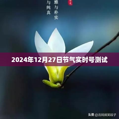 关于节气测试的实时报告，深度解析2024年冬至前夕的观测数据