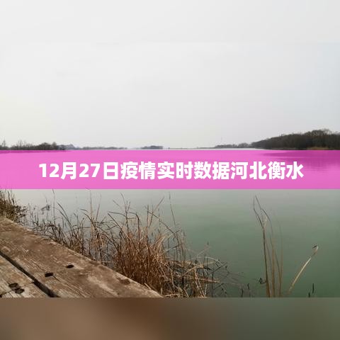 河北衡水疫情实时数据报告（12月27日）