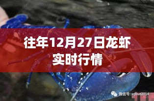 往年12月27日龙虾市场实时行情概览