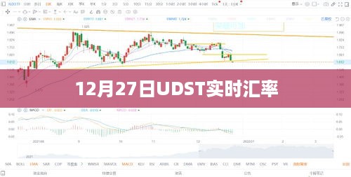 12月27日UDST最新实时汇率查询