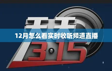 12月实时收听频道直播攻略