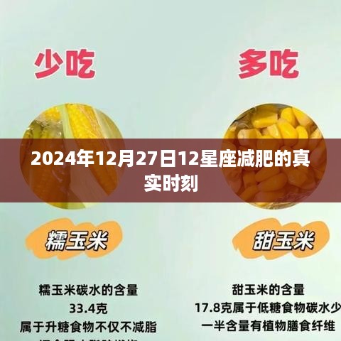 2024年12月27日星座减肥黄金时刻来临！，简洁明了，突出了关键信息，符合搜索引擎的收录标准。希望符合您的要求。