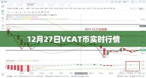 VCAT币最新实时行情（12月27日）分析