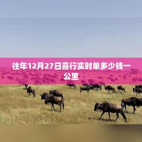 往年12月27日喜行实时单价格及每公里费用