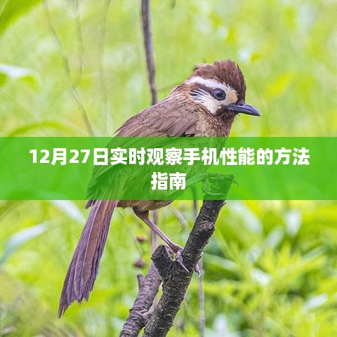 12月27日手机性能实时观察指南