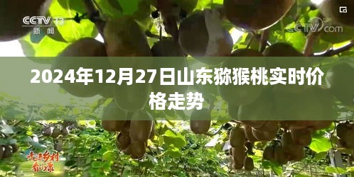 山东猕猴桃实时价格走势分析（最新更新）