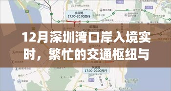 深圳湾口岸入境实时情况，交通枢纽与战略布局