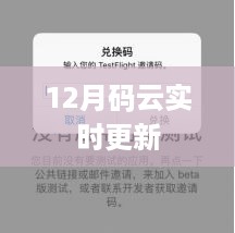 码云实时更新报告，最新数据12月汇总