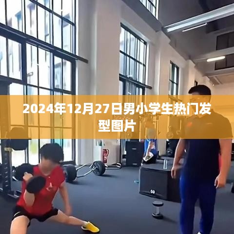 男小学生流行发型图片2024年流行趋势