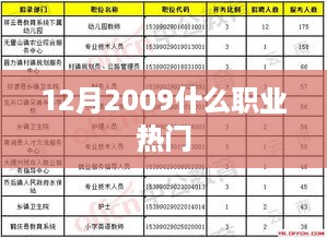 揭秘，2009年十二月热门职业榜单