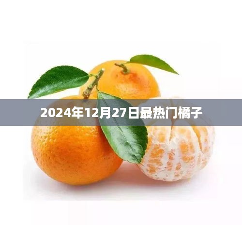 2024年年末橘子热潮，最受欢迎的橘子品种揭晓