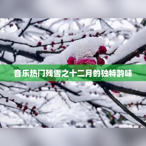 音乐热门残雪十二月的独特韵味赏析